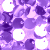 Lavender Sequin Glitter