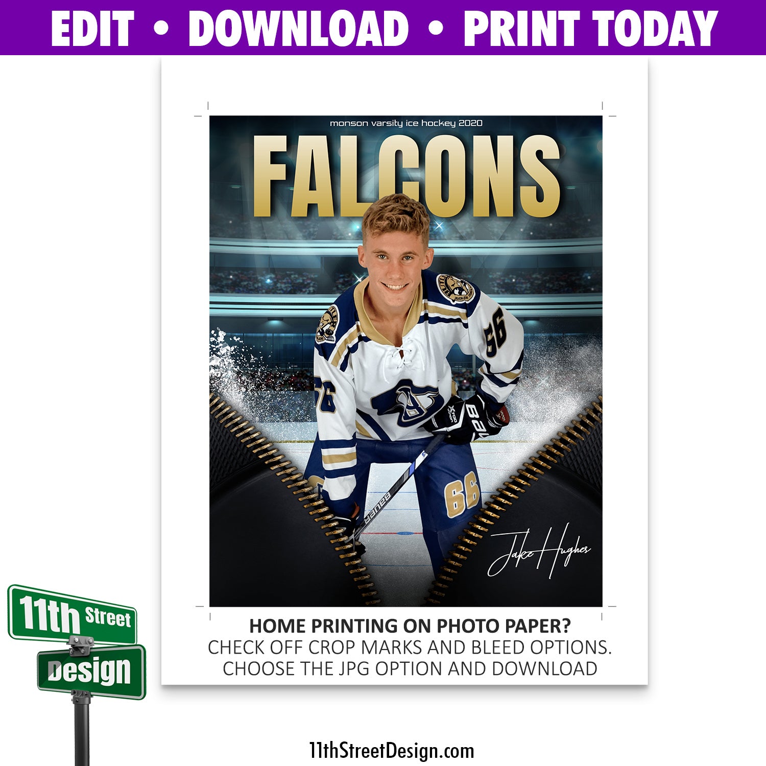 Falcons designs, themes, templates and downloadable graphic